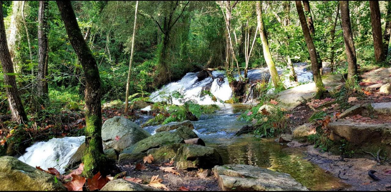Càmping Parc Gualba Gualba de Dalt Ngoại thất bức ảnh